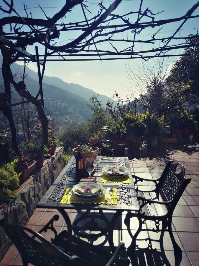 Ferienhaus Cortijo Buenavista
