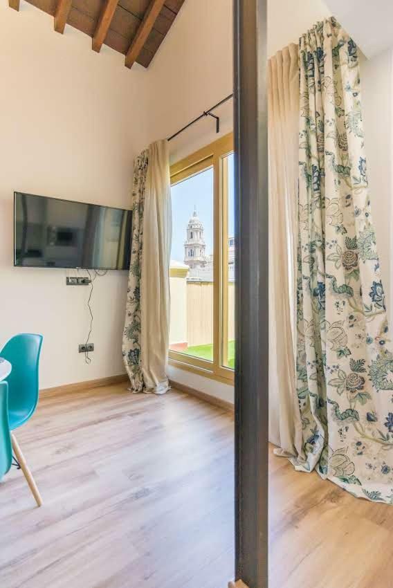 Apartment Esparteros Atico Premium *