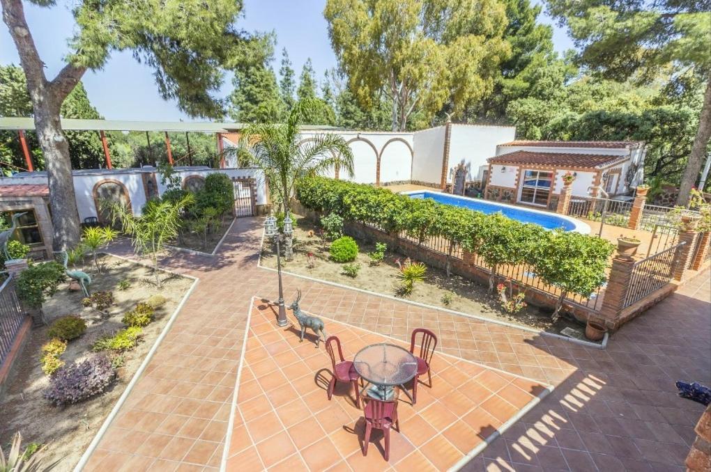 Oasis * Malaga