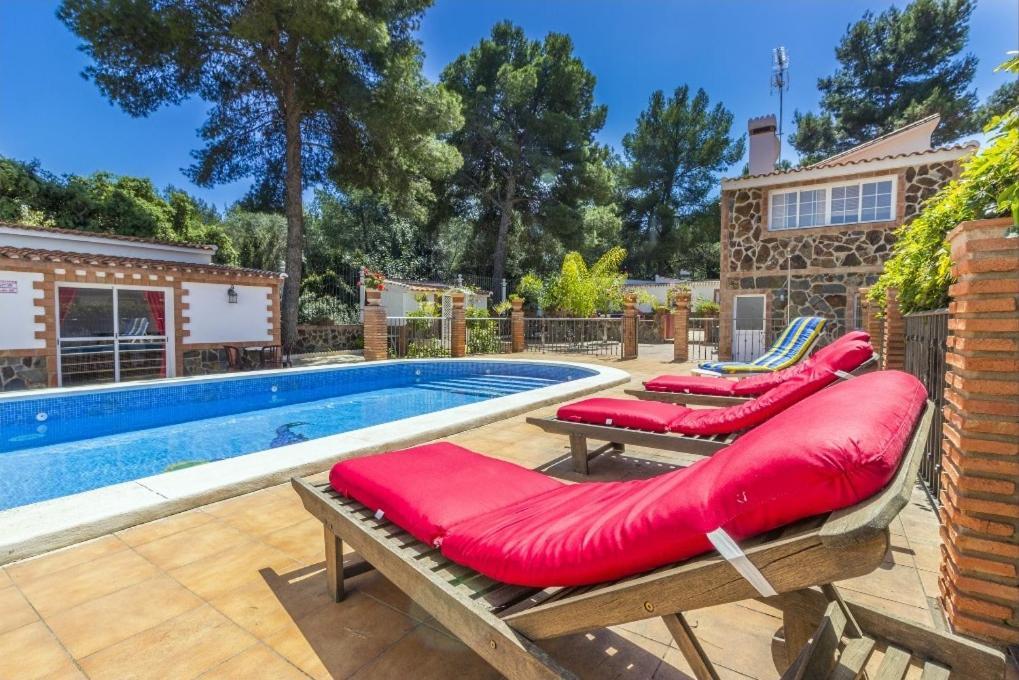 Oasis * Malaga