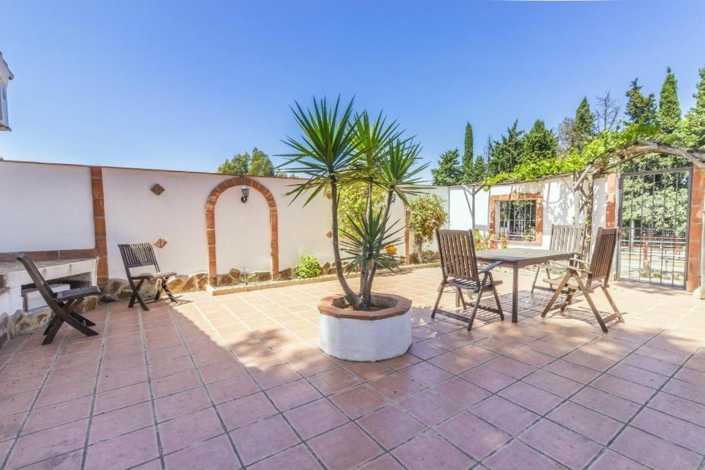Oasis Apartment *