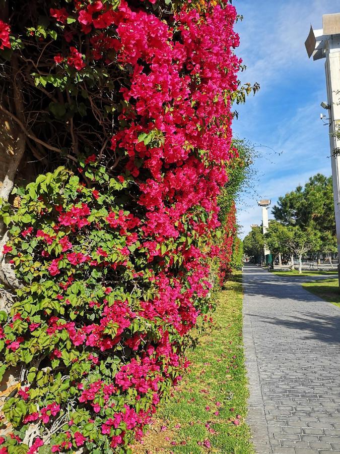Japan Parque Del Oeste *